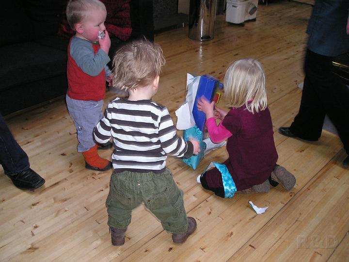 Imme 17 februari 2008 (1).JPG